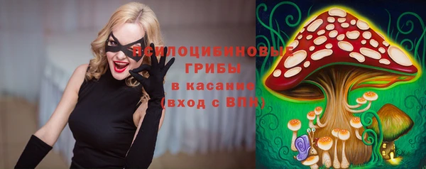 прущая мука Новозыбков