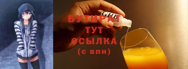 шишки Гусиноозёрск