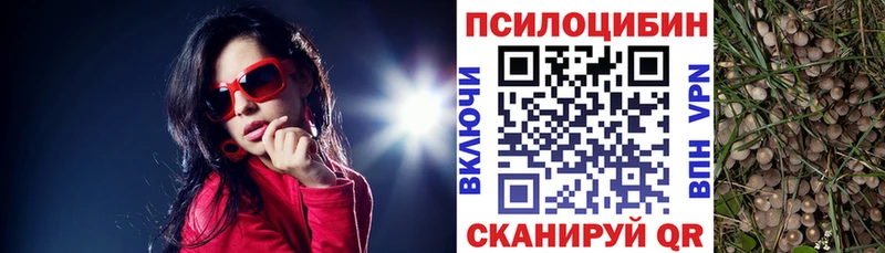 купить закладку  Аксай  Галлюциногенные грибы ЛСД 