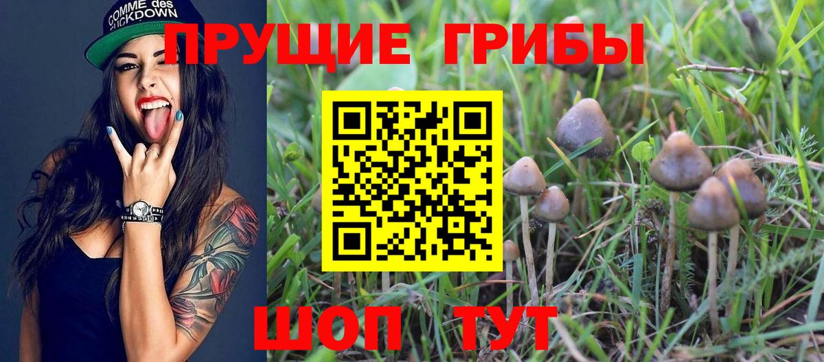 Галлюциногенные грибы прущие грибы Аксай
