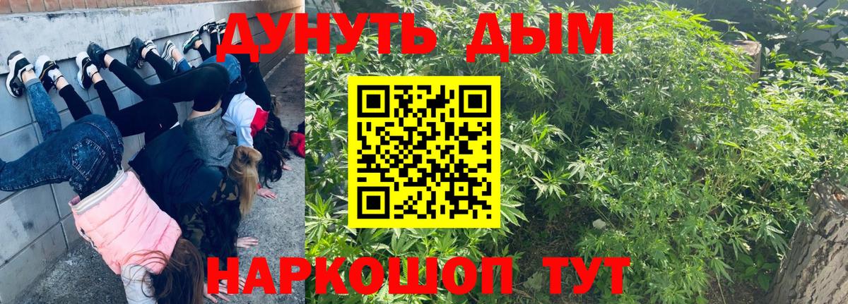 Канабис конопля  Аксай  Марихуана семена  Конопля SATIVA & INDICA 